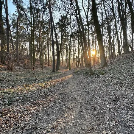 Hostal House Szczecin